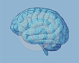 Blue drawing brain with wireframe illustration