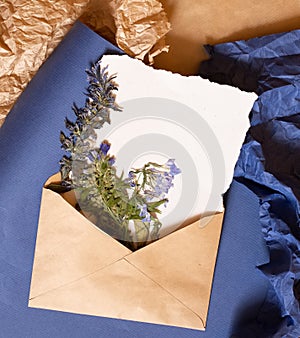 Blue dry flower, white empty paper sheet on blue, natural brown craft crumpled paper flat layout top view. Free blank copy space