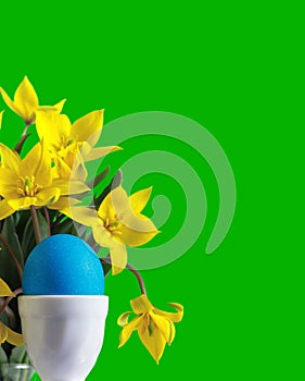 Blue easter egg and yellow tulips
