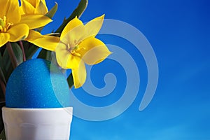 Blue easter egg and yellow tulips