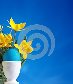 Blue easter egg and yellow tulips