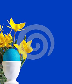 Blue easter egg and yellow tulips