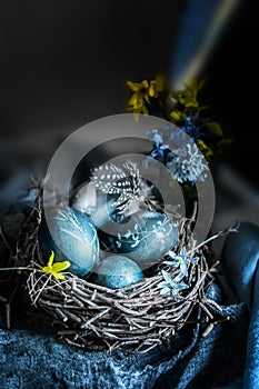 Blue Easter eggs in the nest. Eggs colored with karkade tea and plant leaves. Easter still life in a dark key. Soft focus