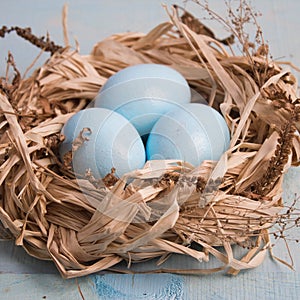 Blue Easter eggs in nest on wooden background.