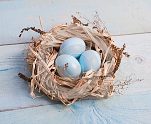 Blue Easter eggs in nest on wooden background.