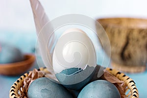 Blue easter eggs in a plate