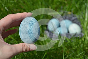 Blue egg, painted in tea hibiscus, lies in female hand on the background of grass and eggs, like dragon eggs and marble