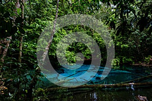 Blue or emerald pool in National park Sa Morakot, Krabi, Thailand