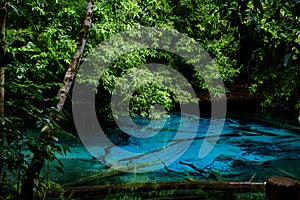 Blue or emerald pool in National park Sa Morakot, Krabi, Thailand