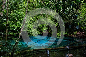 Blue or emerald pool in National park Sa Morakot, Krabi, Thailand