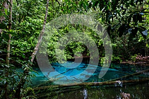 Blue or emerald pool in National park Sa Morakot, Krabi, Thailand