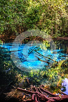 Blue or emerald pool in National park Sa Morakot, Krabi, Thailand. Fantastic blue lake in the middle of the rain forest.