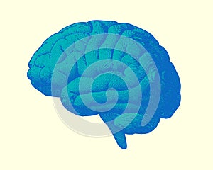 Blue engraving brain illustration on bright BG