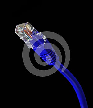 Blue Ethernet Cable