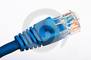 Blue Ethernet cable photo