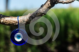 a blue evil eye hanging on a branch of a tree