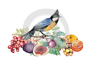 Blue exotic bird with summer fruits on branch with green leaves. Watercolor drawing, summer card illustration