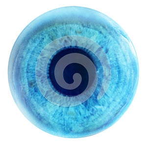 A blue eye