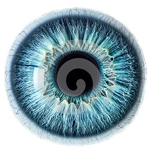 Blue eye iris - human pupil