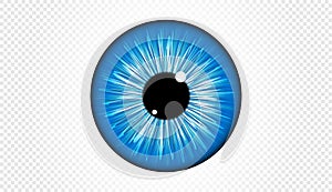 Blue Eye iris, isolated on transparent background, Vector illustration