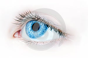 Blue eye macro