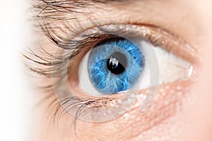 Blue Eye Macro