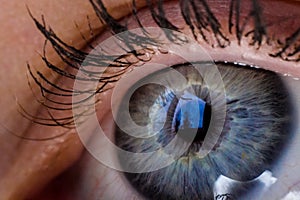 Blue eye macro close up