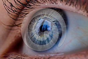 Blue eye macro close up
