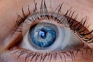 Blue eye macro close up