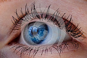 Blue eye macro close up