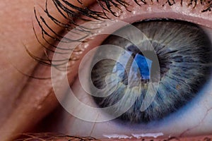 Blue eye macro close up