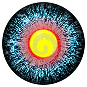 Blue eye with open pupil and bright yellow retina in background. Dark colorful iris around pupil, isolated eye.