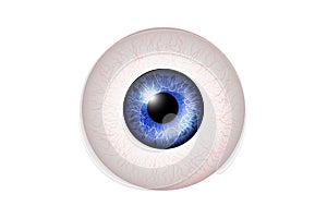 Blue Eye Realistic. Vector Illustration Of 3d Human Glossy Photo Realistic Eye shine and Reflection.