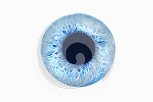 Blue Eye On White Background