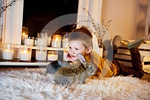 a blue eyed cute boy lying thoughtfully with grey rabbits around