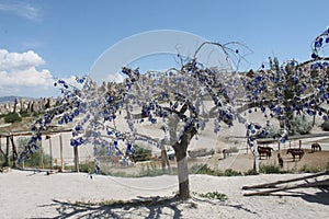 The blue eyes of Turkey for luck and protection from evil eyes, Cappadocia, Turkey. Close to the Goreme Open Air Museum