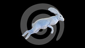 Blue eyes white rabbit running, Easter egg hunting, loop, against black