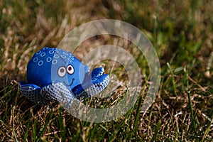 Blue fabric sof octopus toy on green grass, close up. Sea animals concept. photo