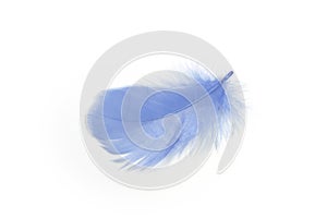 Blue feather