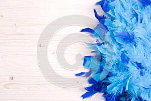 Blue feather boa on light board on the left with space for text