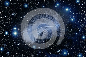 Blue feather falling