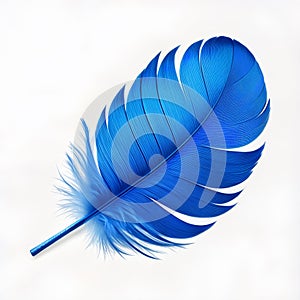 Blue feather isolated on white background. Close-up of bird feather.