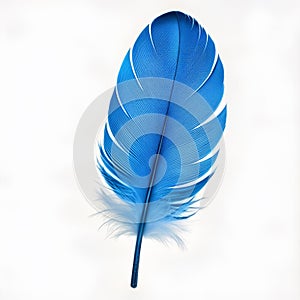 Blue feather isolated on white background. Close-up of bird feather.