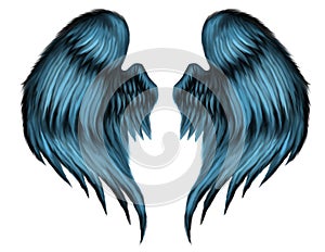 Blue Feather Wings