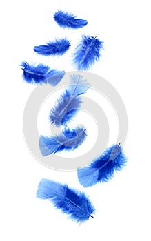 Blue feathers photo