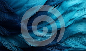 Blue feathers background. Close-up of blue feathers texture background.