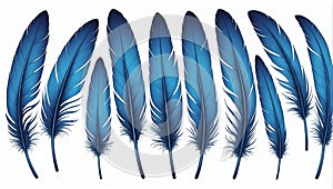 blue feathers on white isolated background