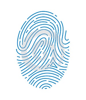 Blue fingerprint lines on white, detailed biometric pattern showing unique identity. Security and forensic analysis