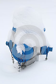 Blue fire hydrant in snow