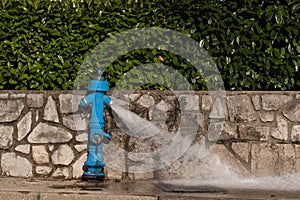 Blue fire hydrant